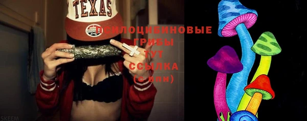 спиды Алексеевка