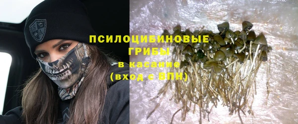 спиды Алексеевка