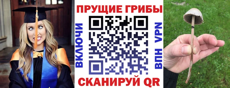 Галлюциногенные грибы Magic Shrooms  цена   Анива 