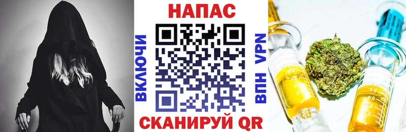 закладка Анива Бошки Шишки конопля